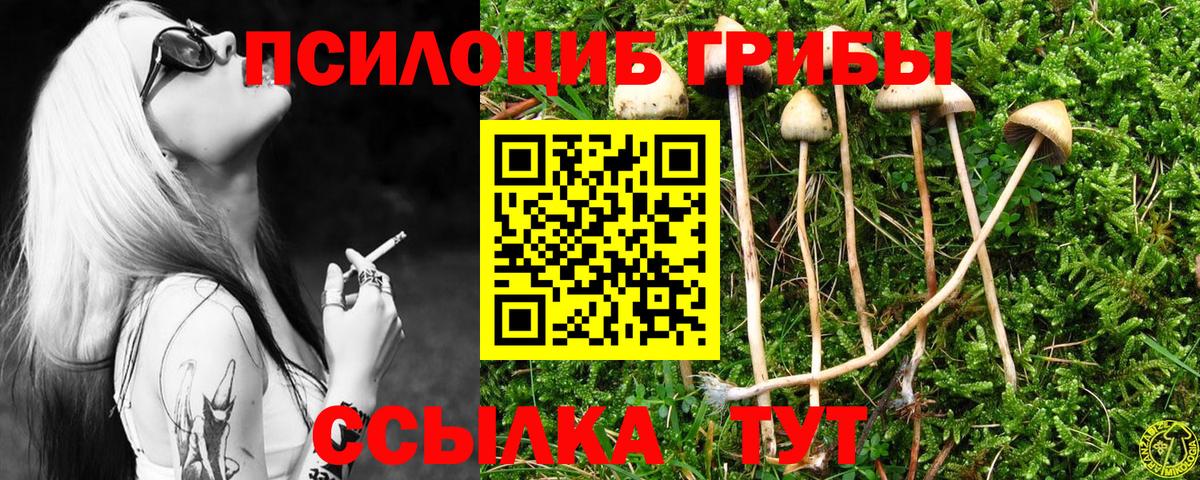 Псилоцибиновые грибы Psilocybine cubensis  Вход с VPN  Калининград 